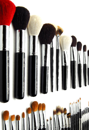 brushes in all different sizes
